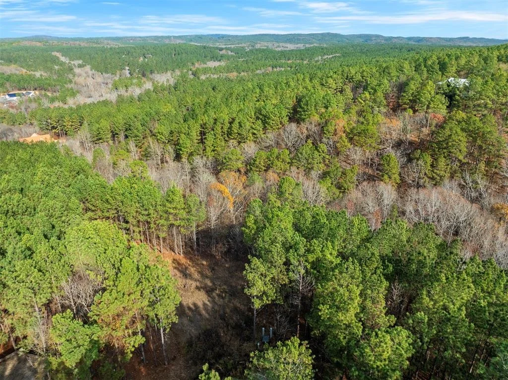 Photo of Unit LOT504 at 164 Timber Holler Trail