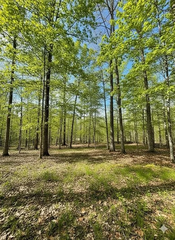 Photo of 771 Timber Creek Trails South XI