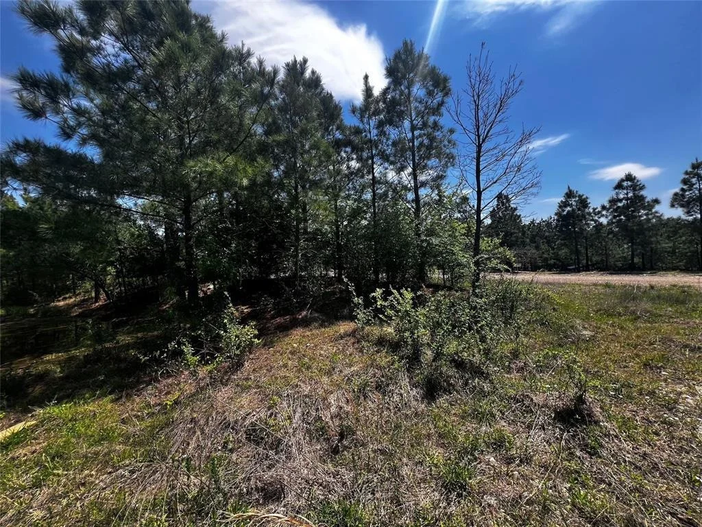 Photo of 62 BR Johnson Road