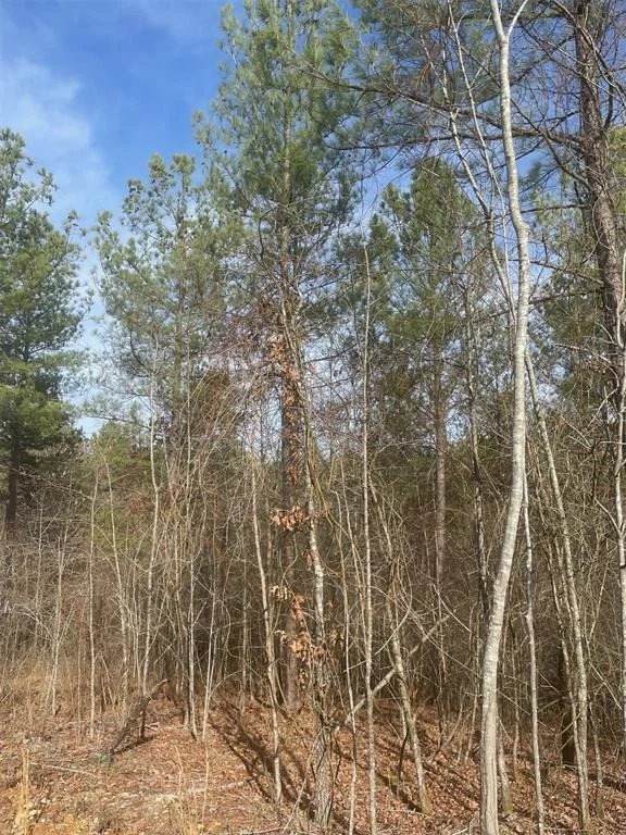 Photo of 726 Timber Creek Trails South XI