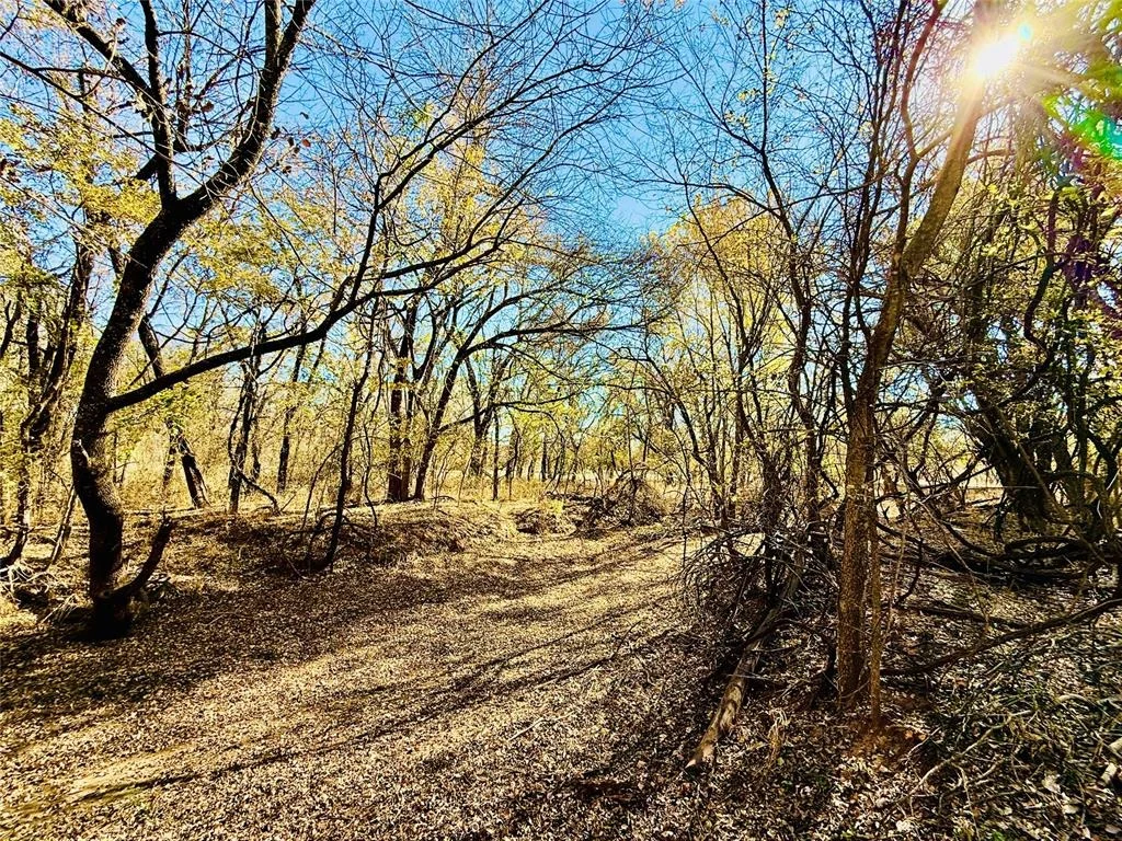Photo of 4521 Willow Grove Drive