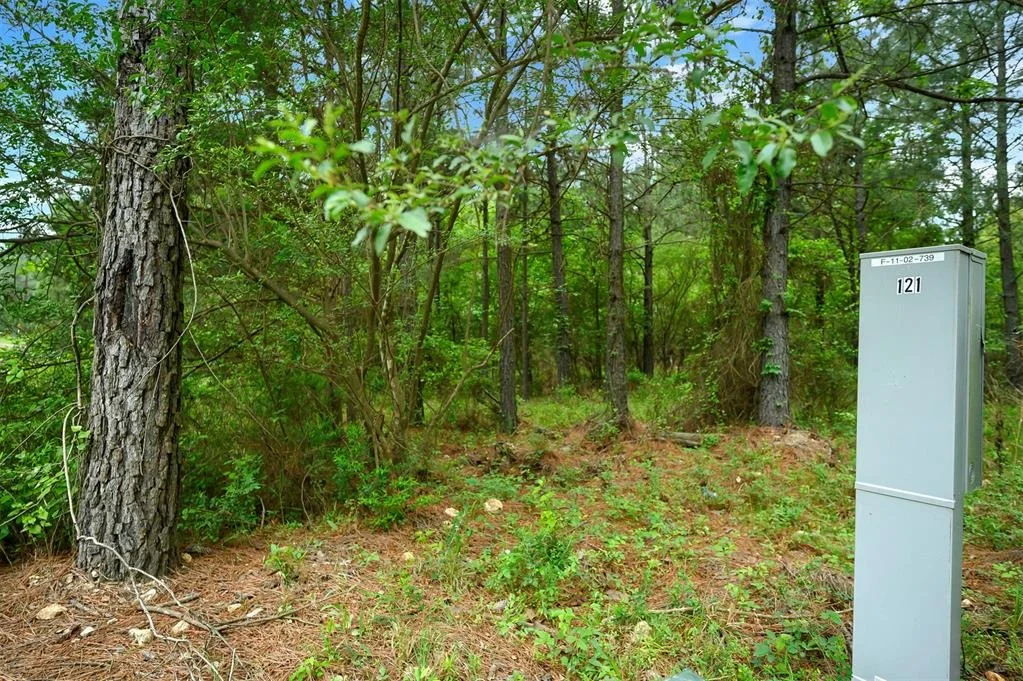 Photo of 561 Track 1 Camp Ranch Road