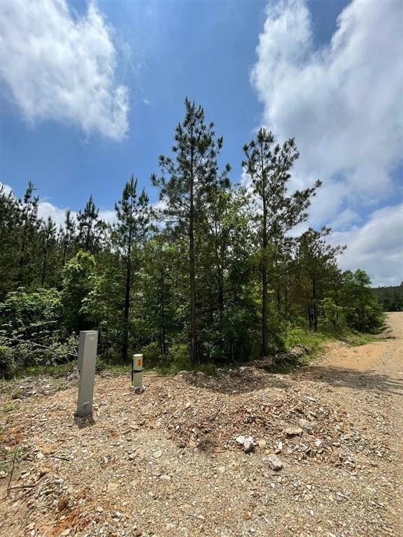 Photo of 677 Timber Creek Trails South XI