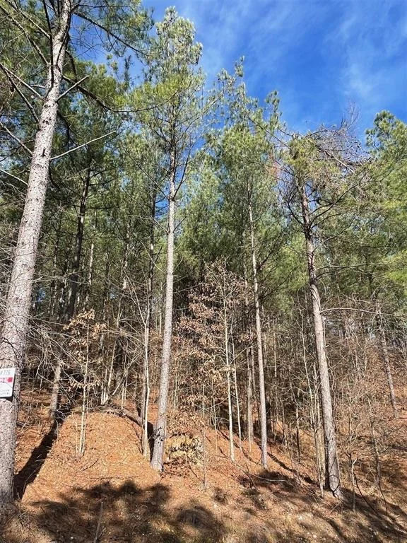 Photo of 776 Timber Creek Trails South XI