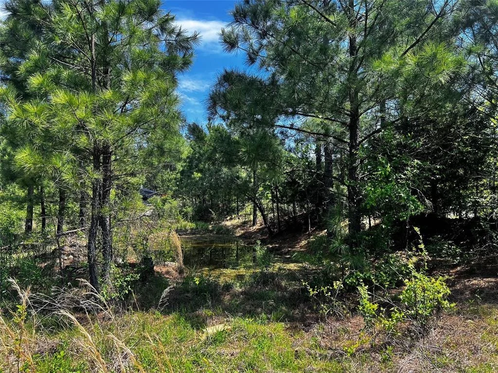 Photo of 62 BR Johnson Road