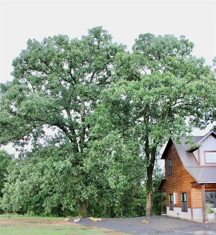Photo of 310 Rutty Pine Ridge