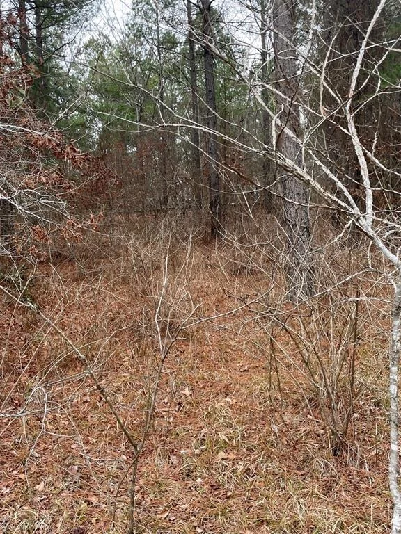 Photo of 685 Timber Creek Trails South XI