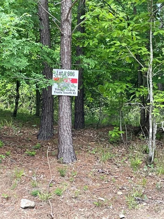 Photo of 696 Timber Creek Trails South XI