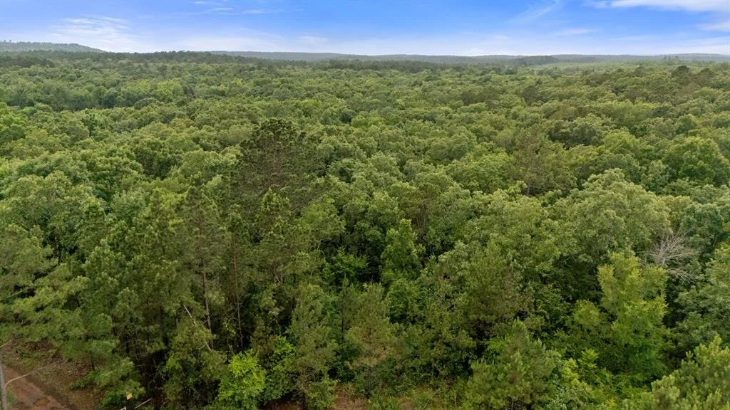 Photo of 219 Lost Hazel Trail