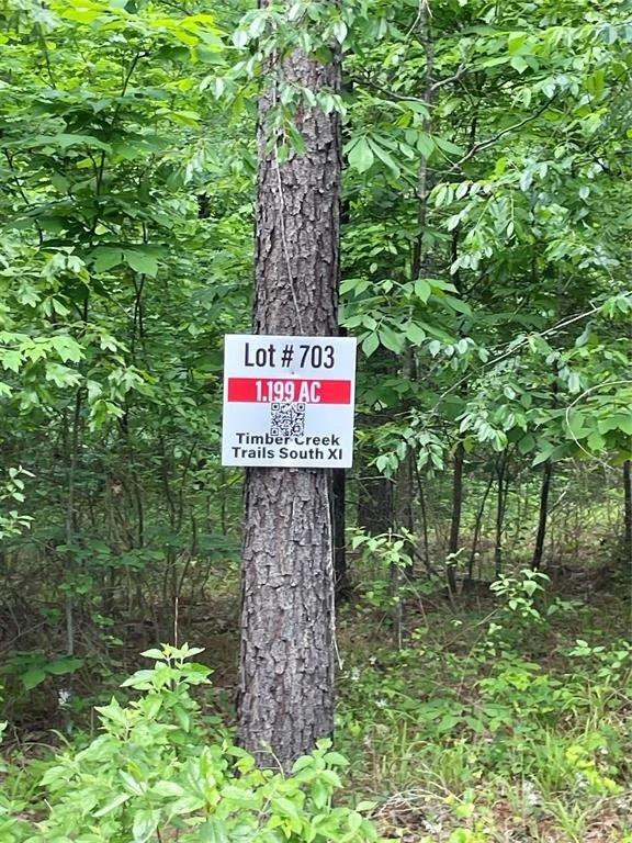 Photo of 703 Timber Creek Trails South XI