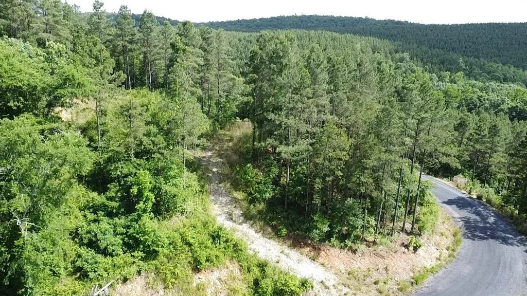 Photo of 635 Virginia Pine Place