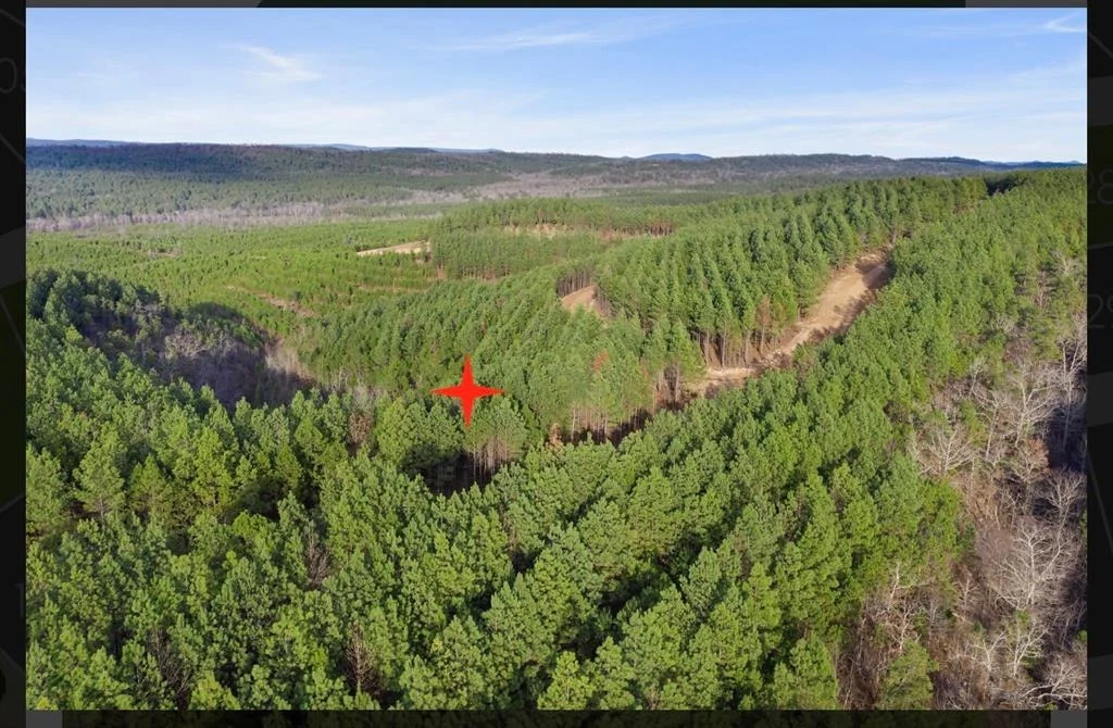 Photo of 905 Timberline Trail