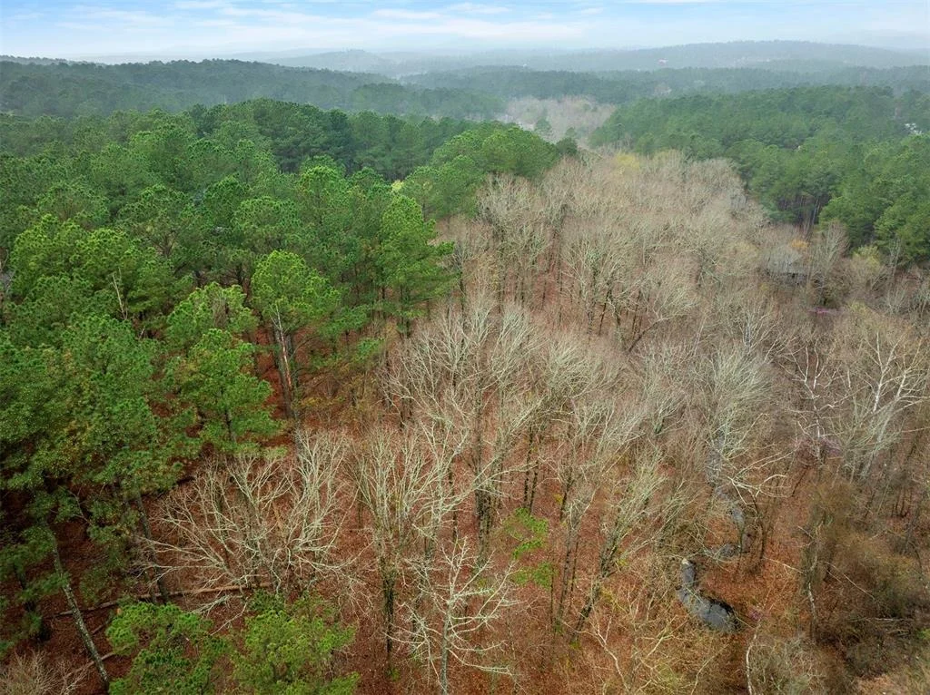 Photo of 685 Long Pine Trail