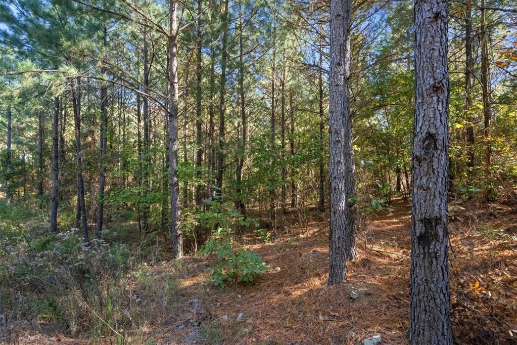 Photo of 24 Cedar Tree Trail