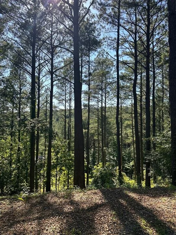Photo of 143 Gnarly Maple Trail