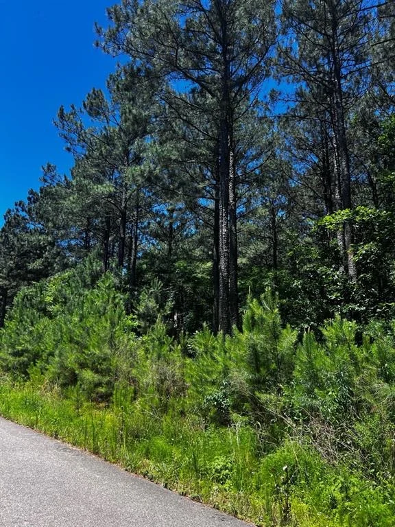 Photo of 83 Pleasant Cypress Trail