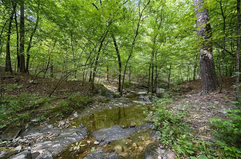 Photo of 14 Lonely Oaks Trail