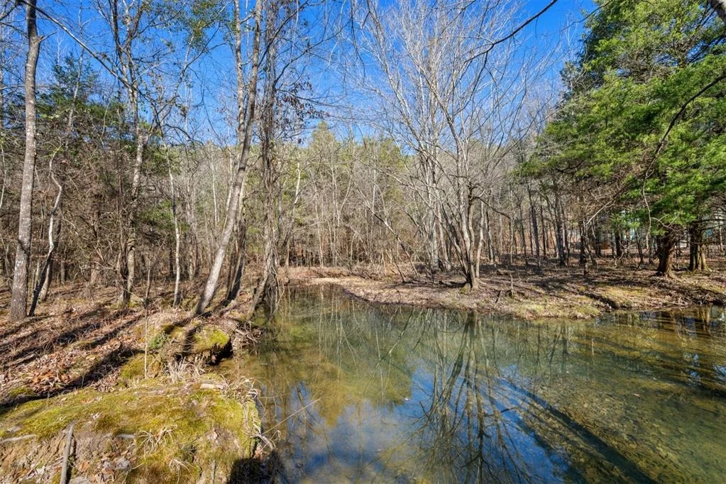 Photo of 315 Marked Pine Lane