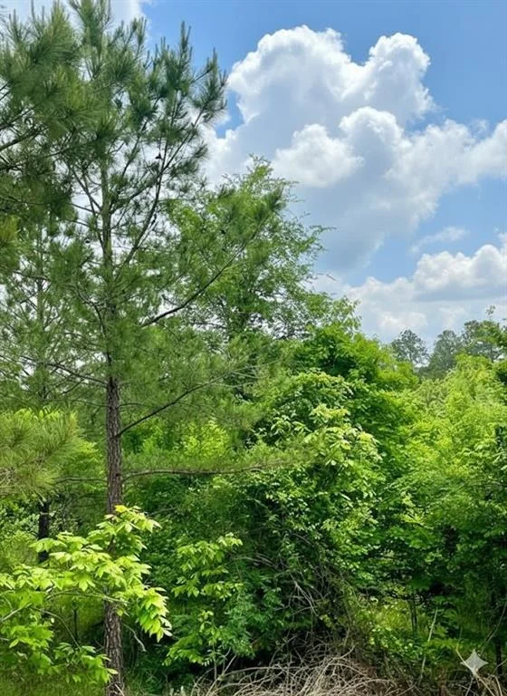 Photo of 665 Timber Creek Trails South XI