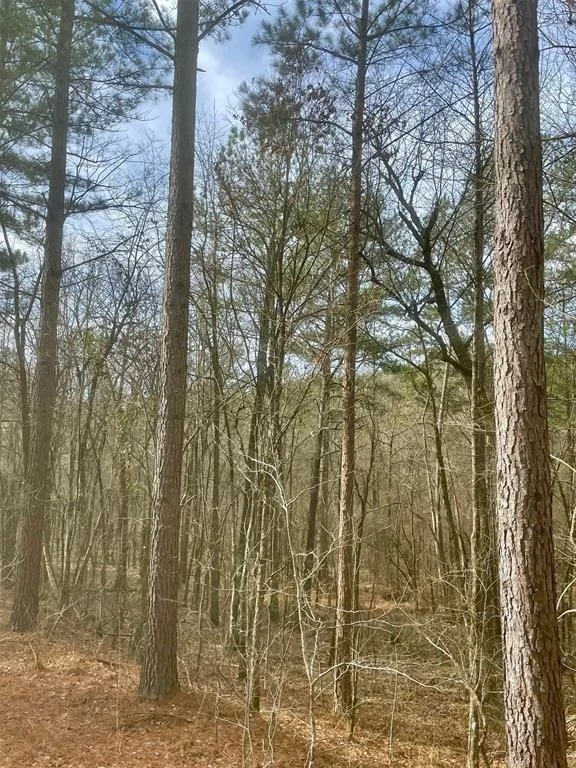 Photo of 740 Timber Creek Trails Xl
