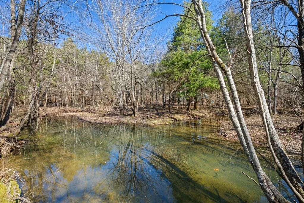 Photo of 315 Marked Pine Lane