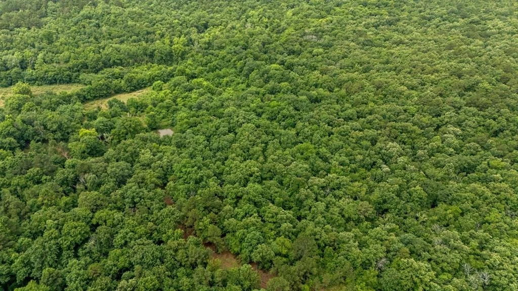 Photo of 219 Lost Hazel Trail