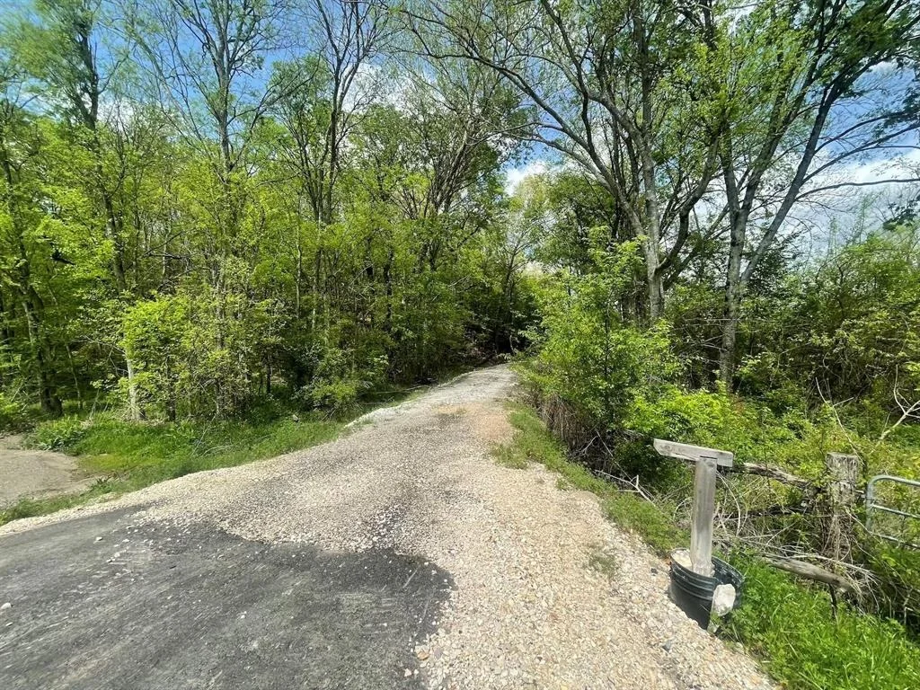 Photo of 260 Box Elder Lane