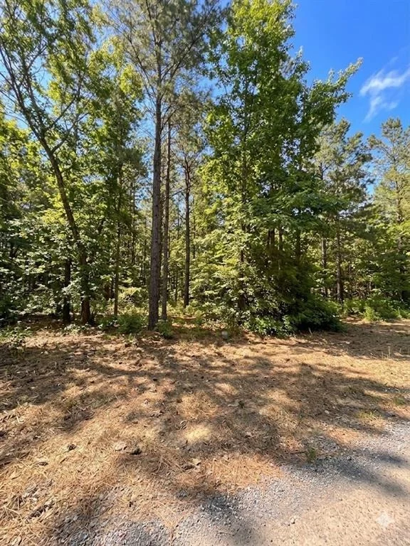 Photo of 86 Southern Locust Trail