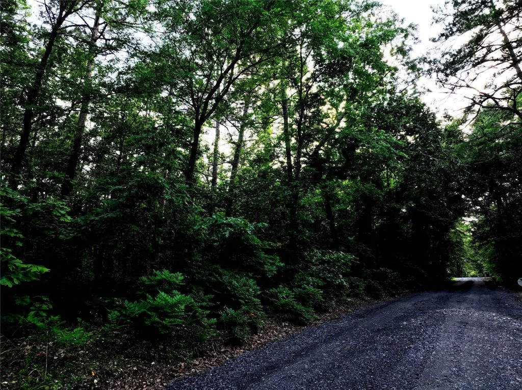 Photo of 0 Pilotfish Road