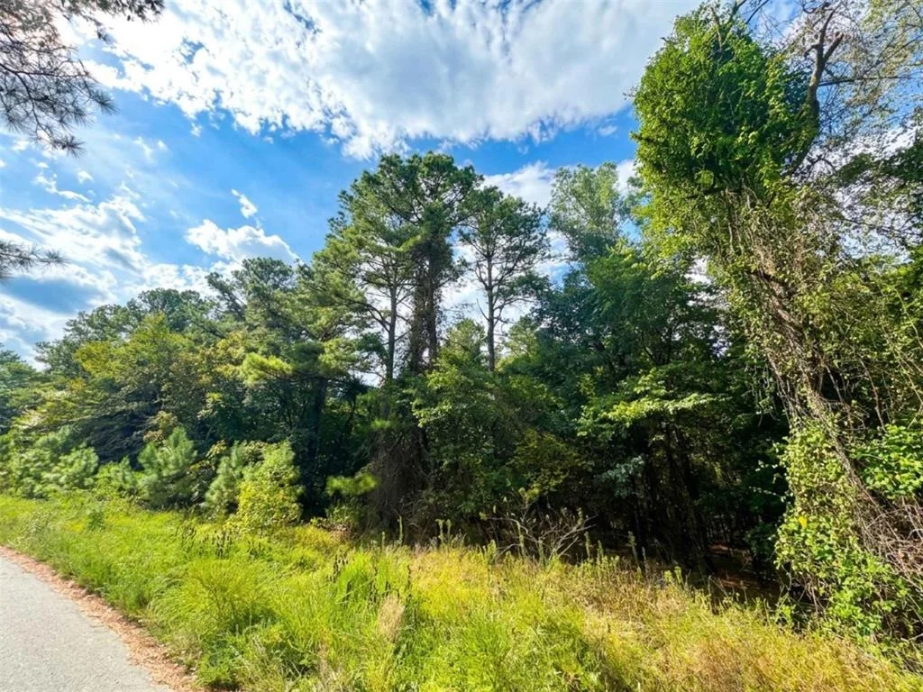 Photo of 1238 Pine Hills Road