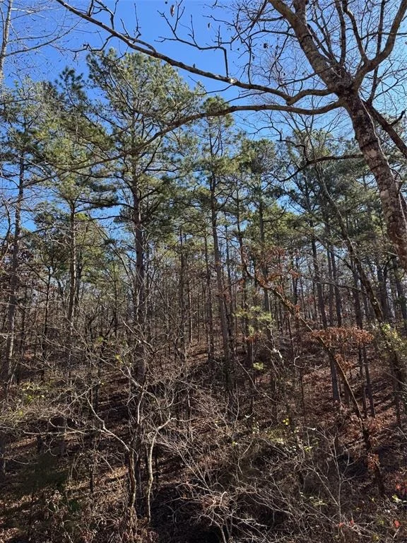 Photo of 132 Western CEDAR Trail