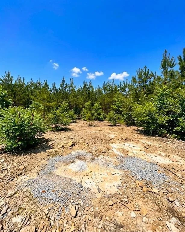 Photo of 68 Southern Spruce Trail