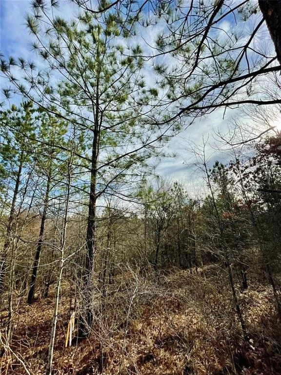 Photo of 723 Timber Creek Trails South XI