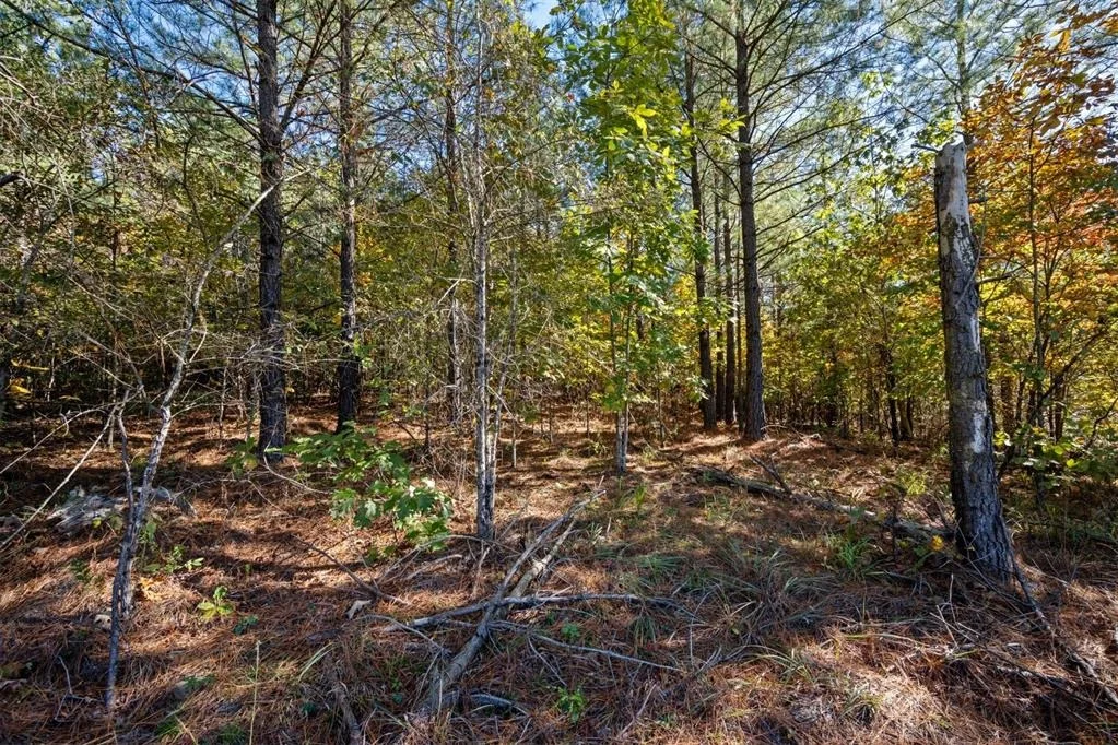 Photo of 14 Gopher Wood Trail