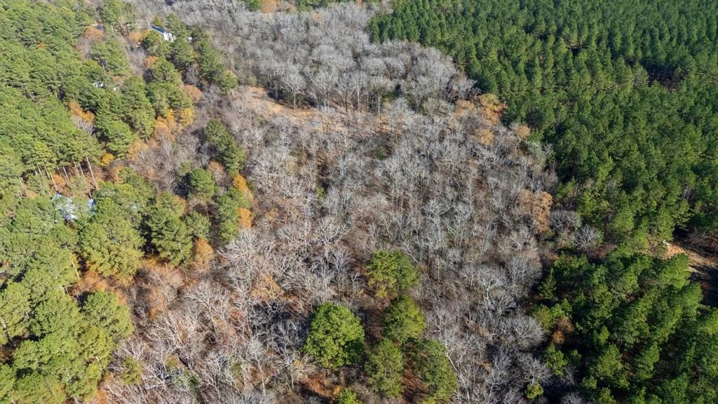 Photo of 323 Marked Pine Lane