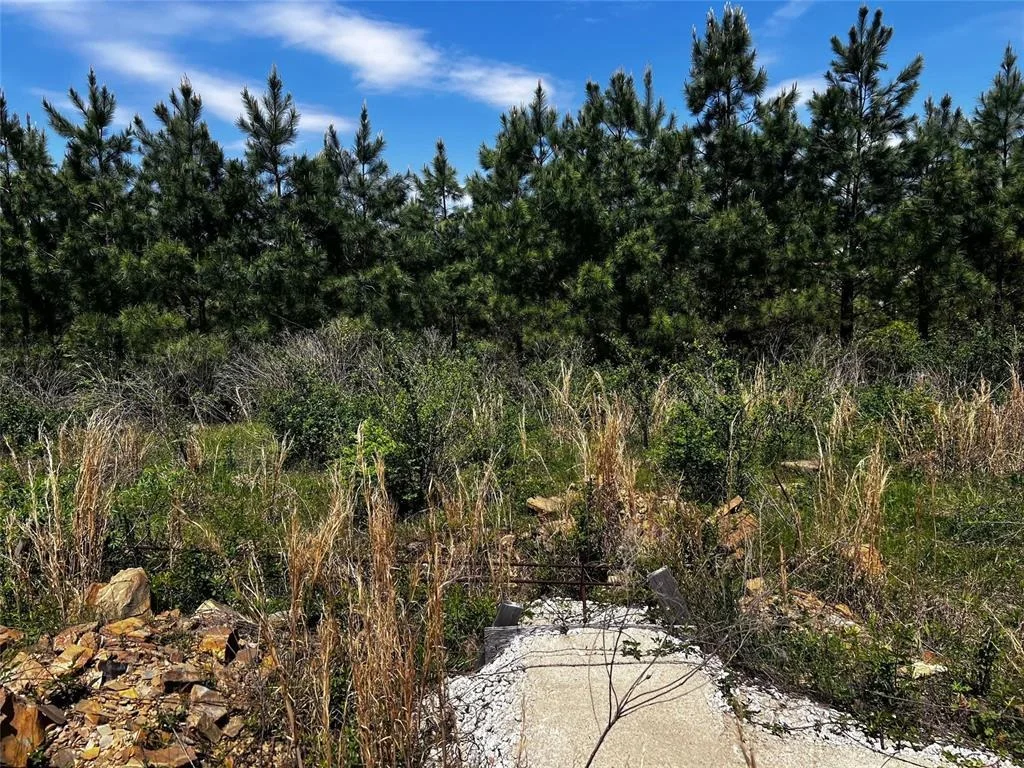 Photo of 62 BR Johnson Road