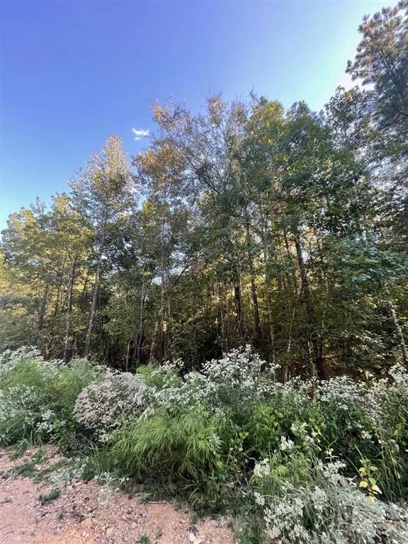 Photo of 745 Timber Creek Trails South XI