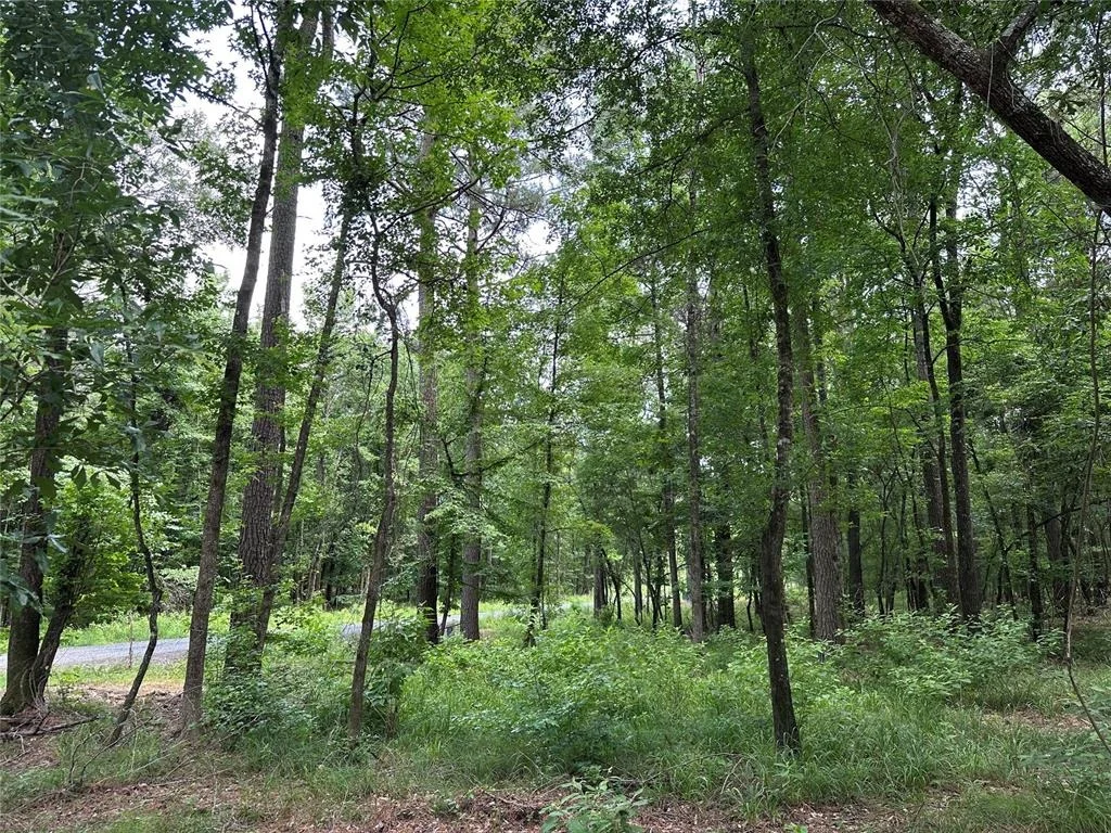 Photo of 46 Lazy River Lane