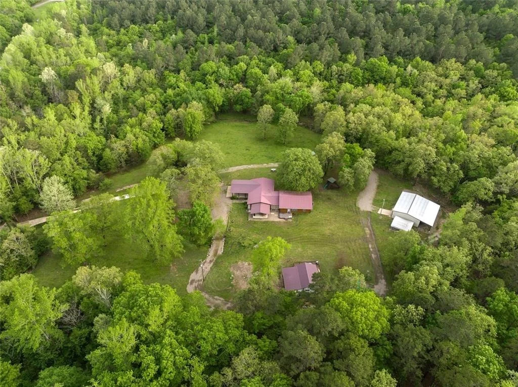 Photo of 19 Alamo Road