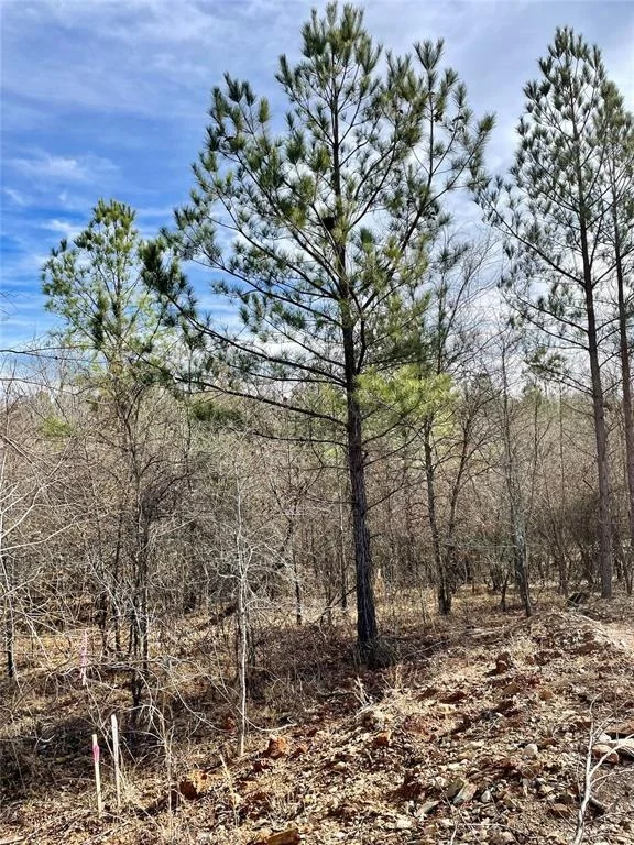 Photo of 724 Timber Creek Trails South XI
