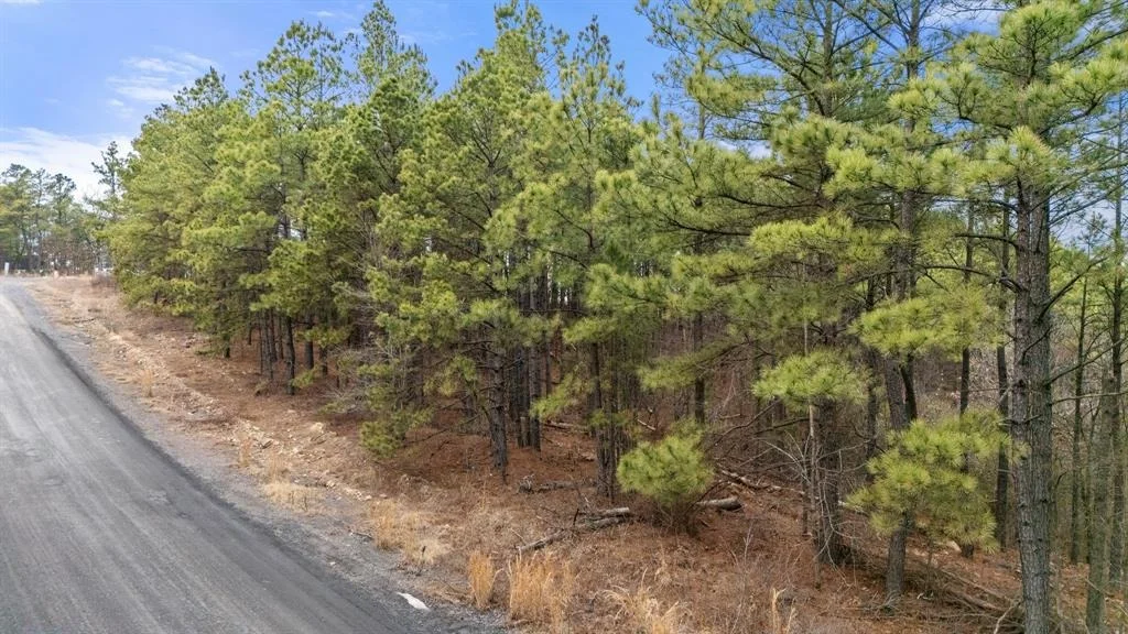 Photo of 905 Timberline Trail