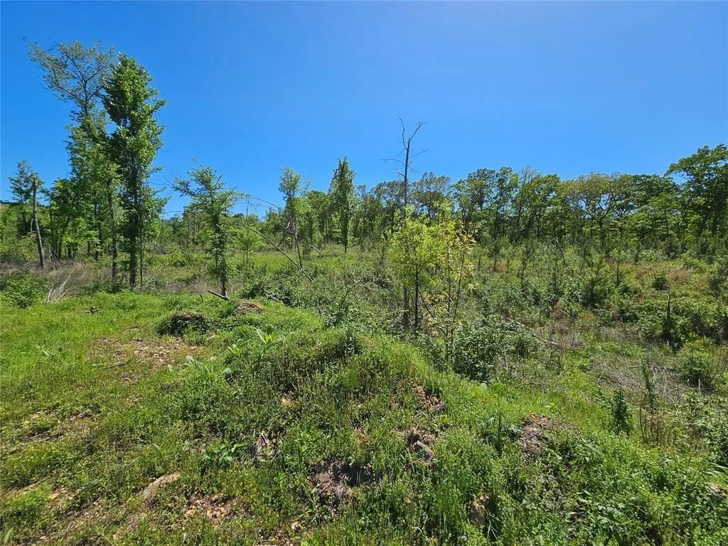 Photo of 71 Woodland Ridge Trail