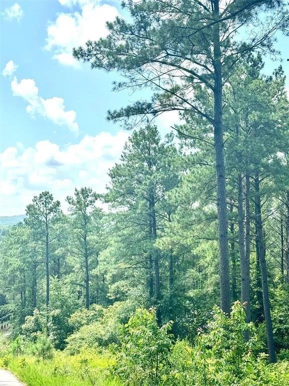Photo of 85 Green Apple Trail