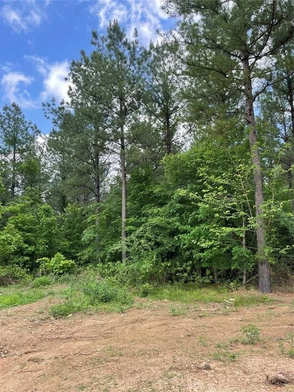 Photo of 699 Timber Creek Trails South XI
