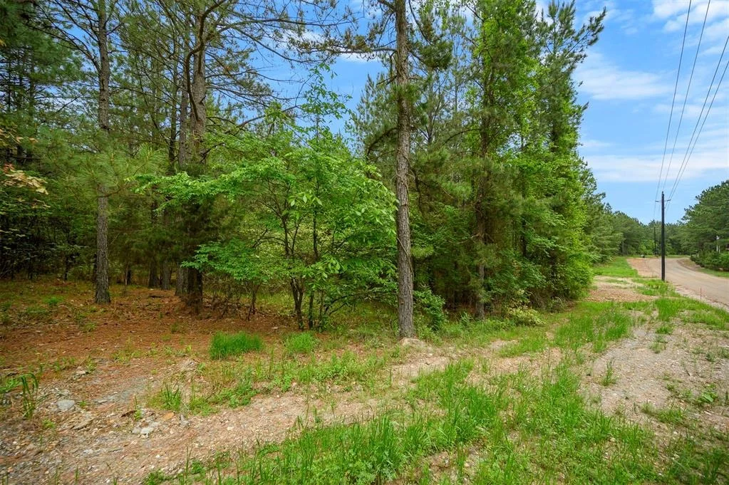 Photo of 561 Track 1 Camp Ranch Road