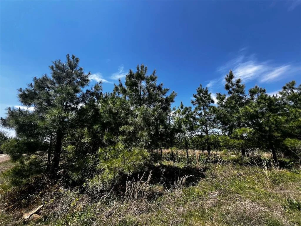 Photo of 62 BR Johnson Road
