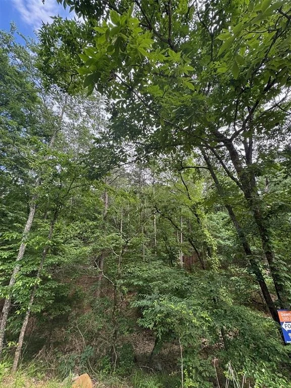 Photo of 132 Western CEDAR Trail