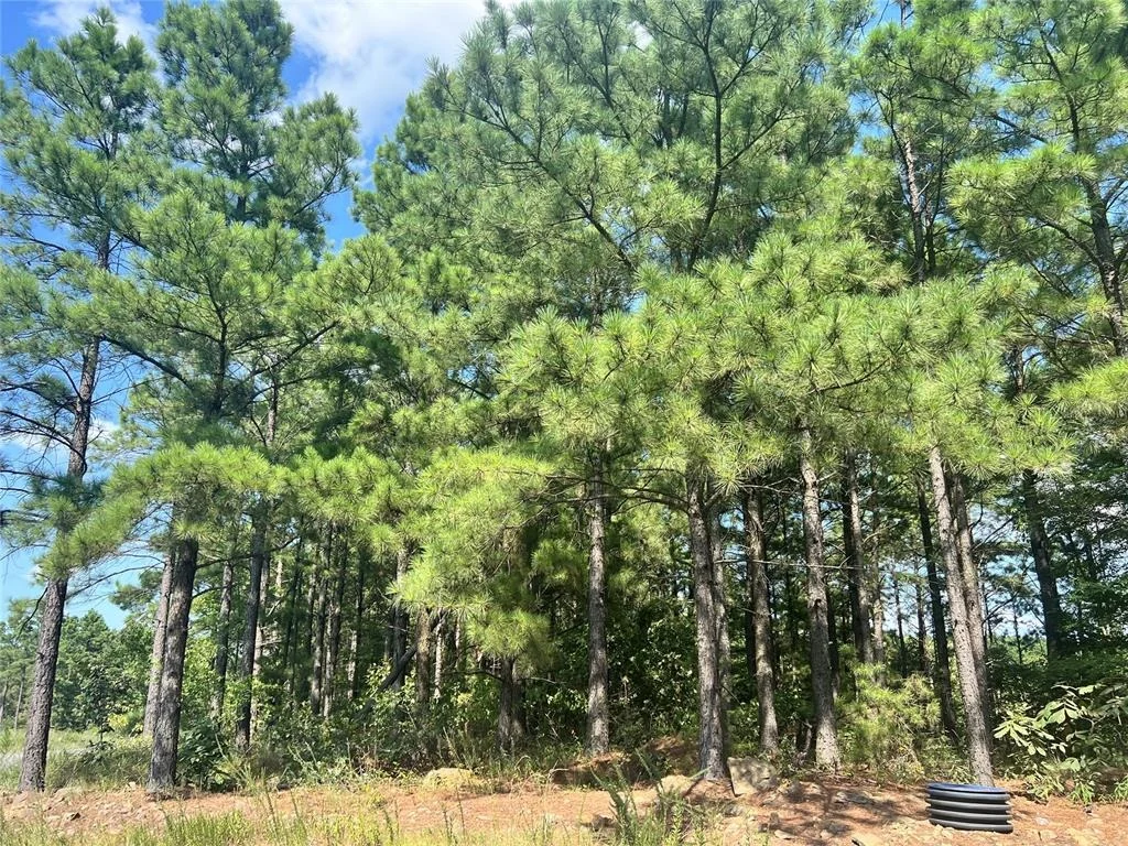 Photo of 24 Evergreen Vista Loop