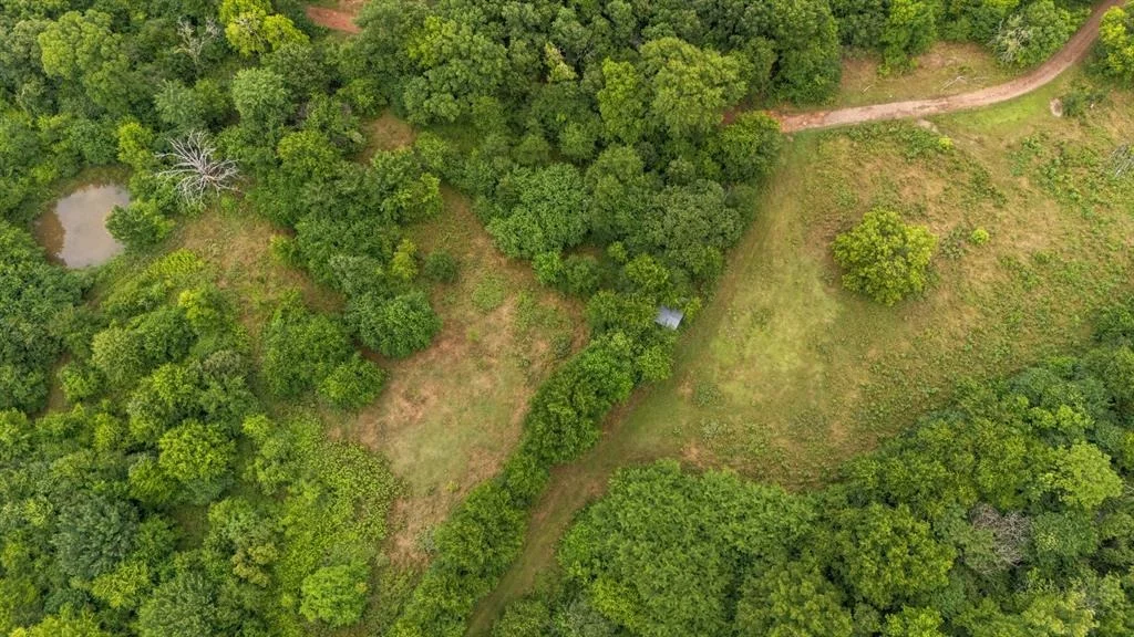 Photo of 219 Lost Hazel Trail