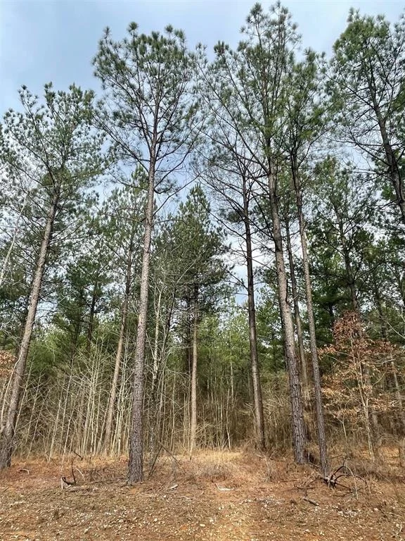 Photo of 759 Timber Creek Trails South XI